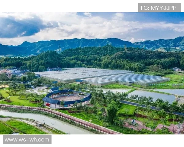 【全民健身】文体赋能村庄复兴 训练提质女性风貌